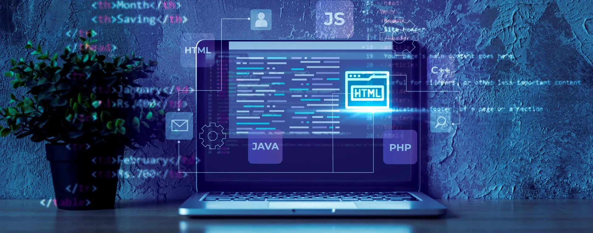 Web Development